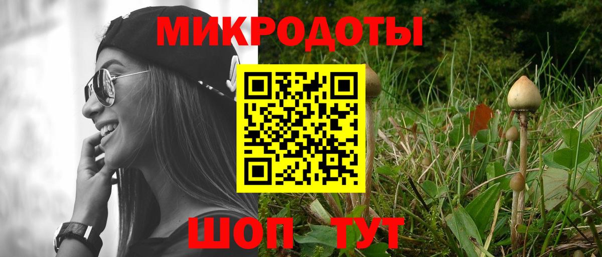 Галлюциногенные грибы Cubensis Энгельс
