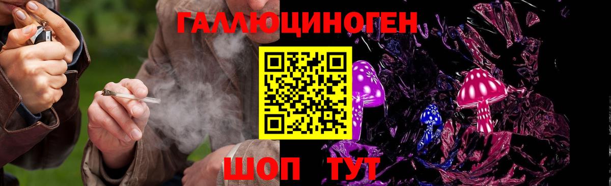 Галлюциногенные грибы мицелий  купить наркоту  Энгельс  Вход с VPN 